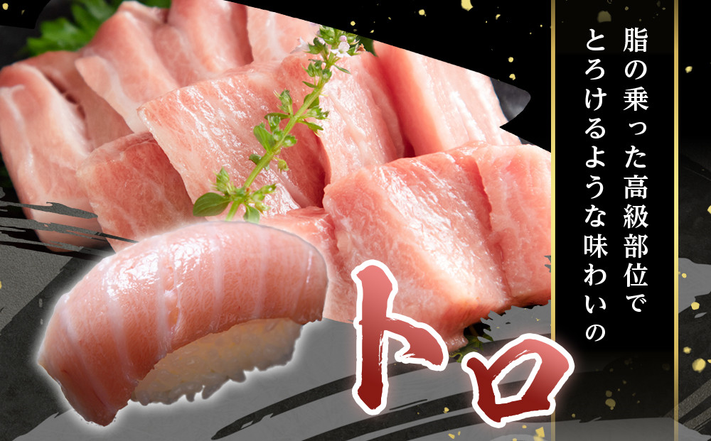 【12月末まで限定寄付額】【年内発送可】本マグロ トロ+赤身セット 500g | 【年末年始お届け可能】大トロ 中トロ 鮪 刺身 寿司 お正月