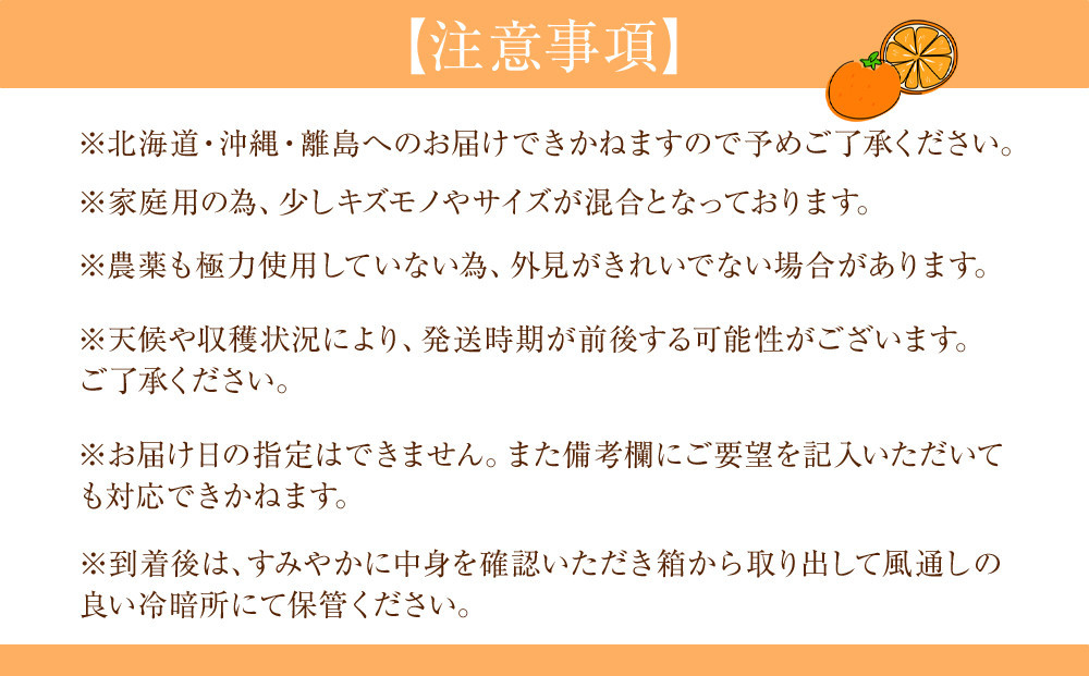 家庭用 森本農園の手選別 八朔 約6kg 和歌山県産 サイズ混合 ［北海道・沖縄・離島配送不可］［2026年1月中旬から発送予定］［RN115］★