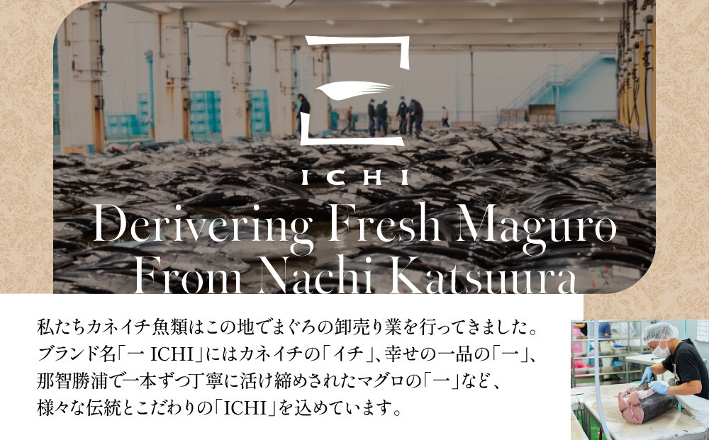 粗挽きまぐろのハンバーグ 100g×2個入り×6パック《先行予約》［8月から順次発送］