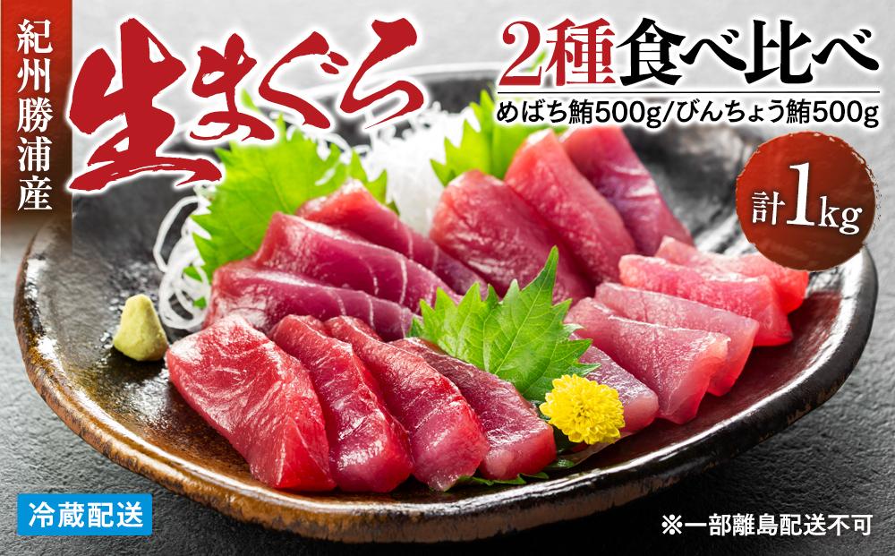 【12月末まで限定寄付額】【年内発送可】生まぐろ２種食べ比べセット　【一部離島配送不可】