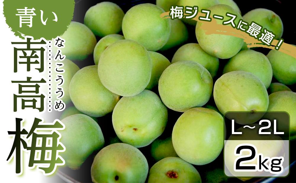青い南高梅 2kg  L〜2L寸 紀州特産 梅酒 梅ジュースに最適！ 【先行予約：2025年6月1日以降順次発送】