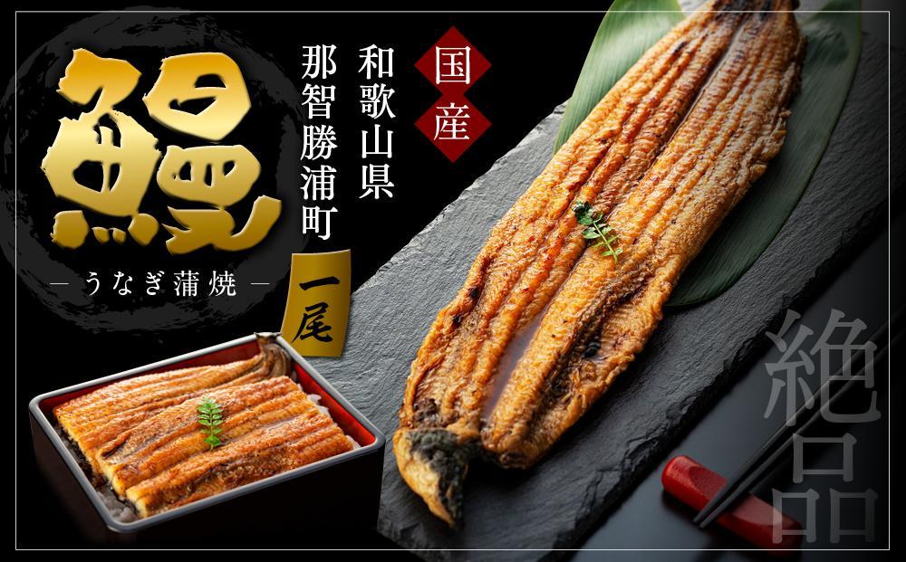 【年内発送/12月15日ご入金確認分まで】【ギフト用】国産活鰻を地元の醤油で仕上げた絶品のうなぎ蒲焼(1尾）