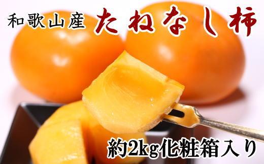［秋の味覚］和歌山産たねなし柿2L～4Lサイズ 約2kg（化粧箱入り）★2026年9月中旬頃より順次発送［TM39］