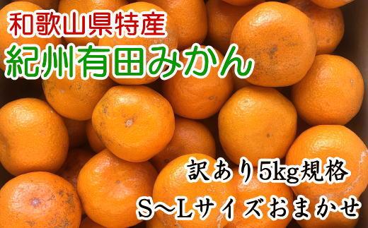 [訳あり]和歌山有田みかん約5kg（S～Lサイズいずれかお届け）★2026年11月中旬頃より順次発送［TM81］