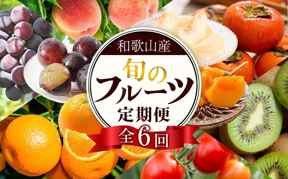 和歌山の旬の果実を 奇数月にお届け全6回定期便（キウイ・清見オレンジ・ミニトマト・桃・ピオーネ・富有柿）【TM62】
