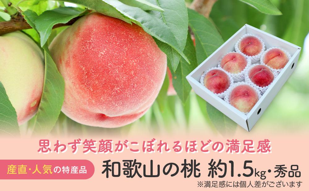 【産直・人気の特産品】和歌山の桃 約1.5kg★2025年6月下旬から8月中旬頃順次発送★【TM92】