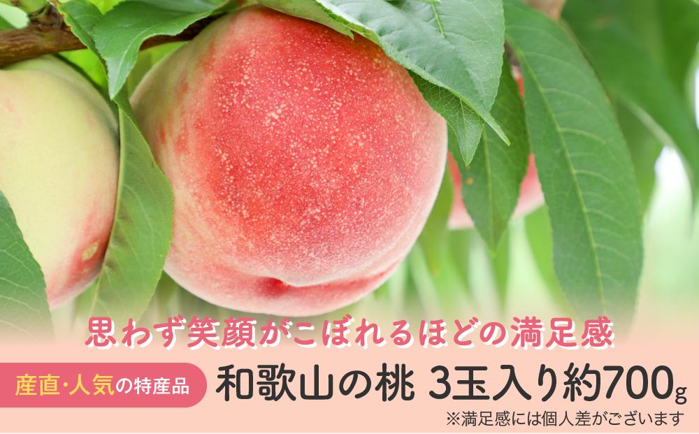 【産直・人気の特産品】和歌山の桃 3玉入り 約700g  ★2025年6月下旬から8月中旬頃順次発送★【TM93】
