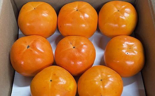 富有柿の新品種「紀州てまり」約7.5kg（22玉～32玉おまかせ）★2026年11月頃より順次発送［TM87］