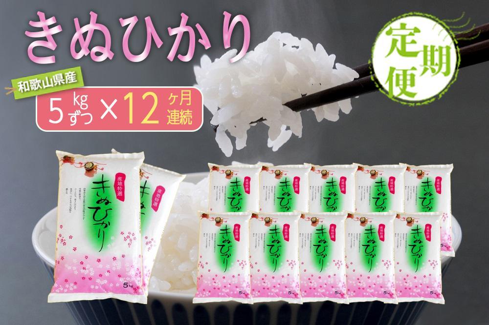 【お米の定期便／全12回】和歌山県産 米 キヌヒカリ 60kg(5kg×12) 2025年産【SL22】