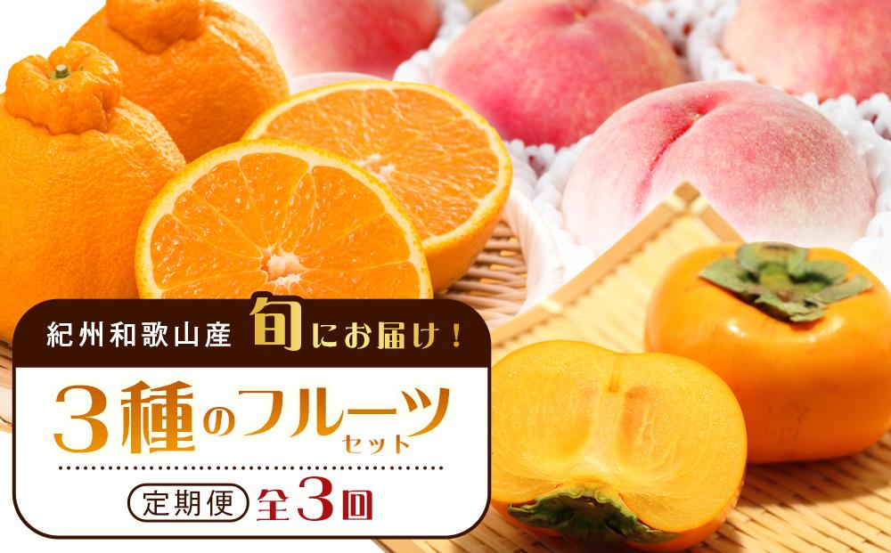 紀州和歌山産 旬にお届け！3種のフルーツセット（不知火・桃・ひらたね）【UT58】