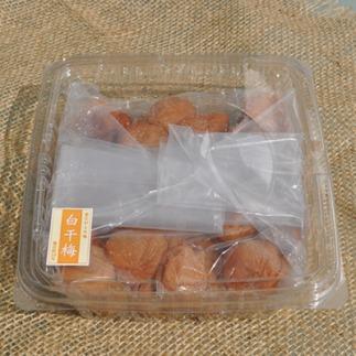 ［ご家庭用］訳あり白干し梅干し800g 紀州うめぼし わけあり 和歌山県産 紀伊国屋文左衛門本舗［TC15］