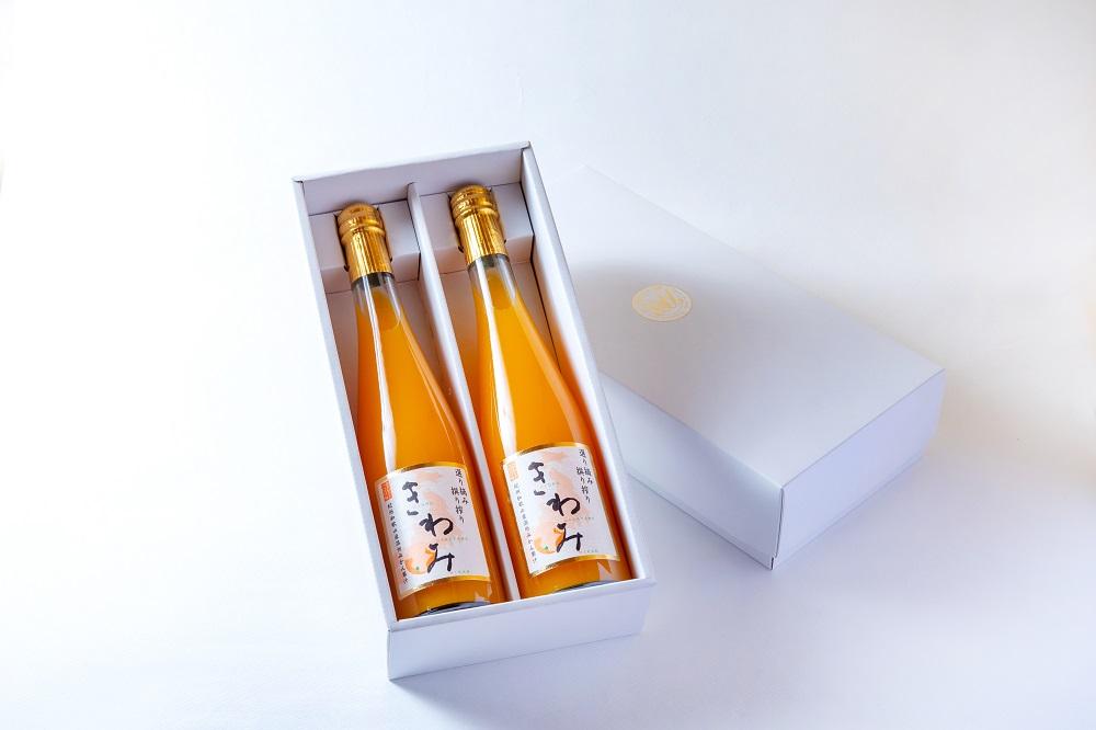 きわみ みかんジュース 500ml × 2本 入り ギフトセット【mao5】