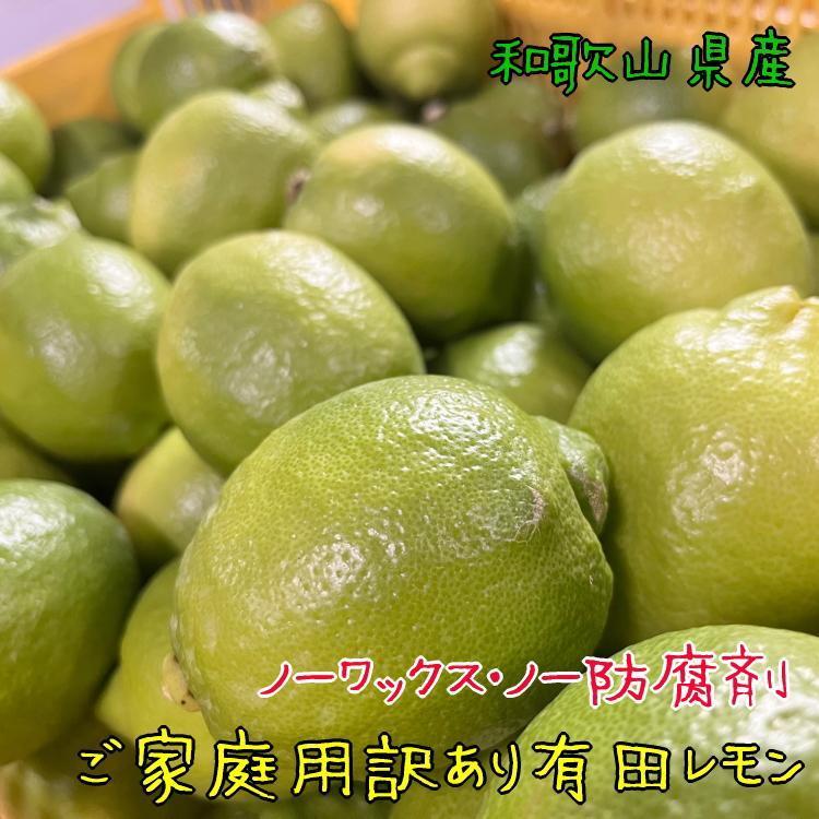 紀州和歌山 有田レモン（ご家庭用）約3kg ［先行予約］［国産］［農園直送］［ノーワックス・ノー防腐剤］［MS70］