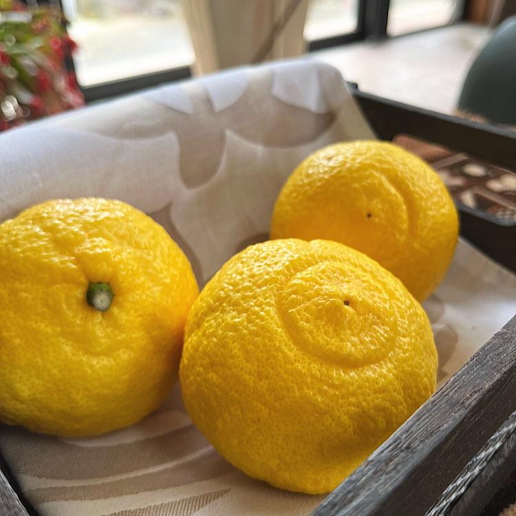 有田育ちの 完熟 はるかみかん（ご家庭用）約5kg［先行予約］［MS53］