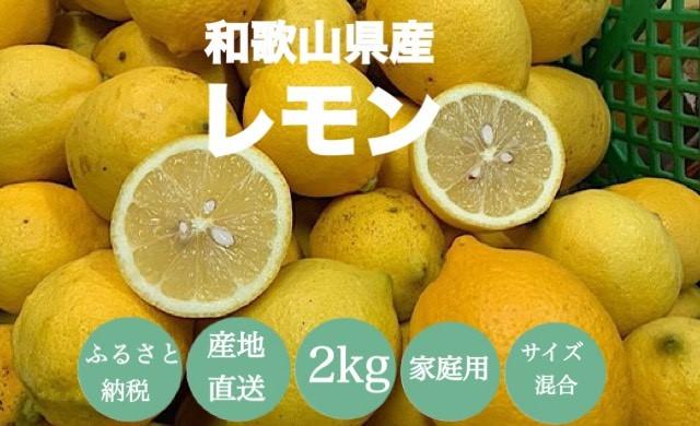 ［産地直送］和歌山県産 レモン 2kg 家庭用 ［US44］