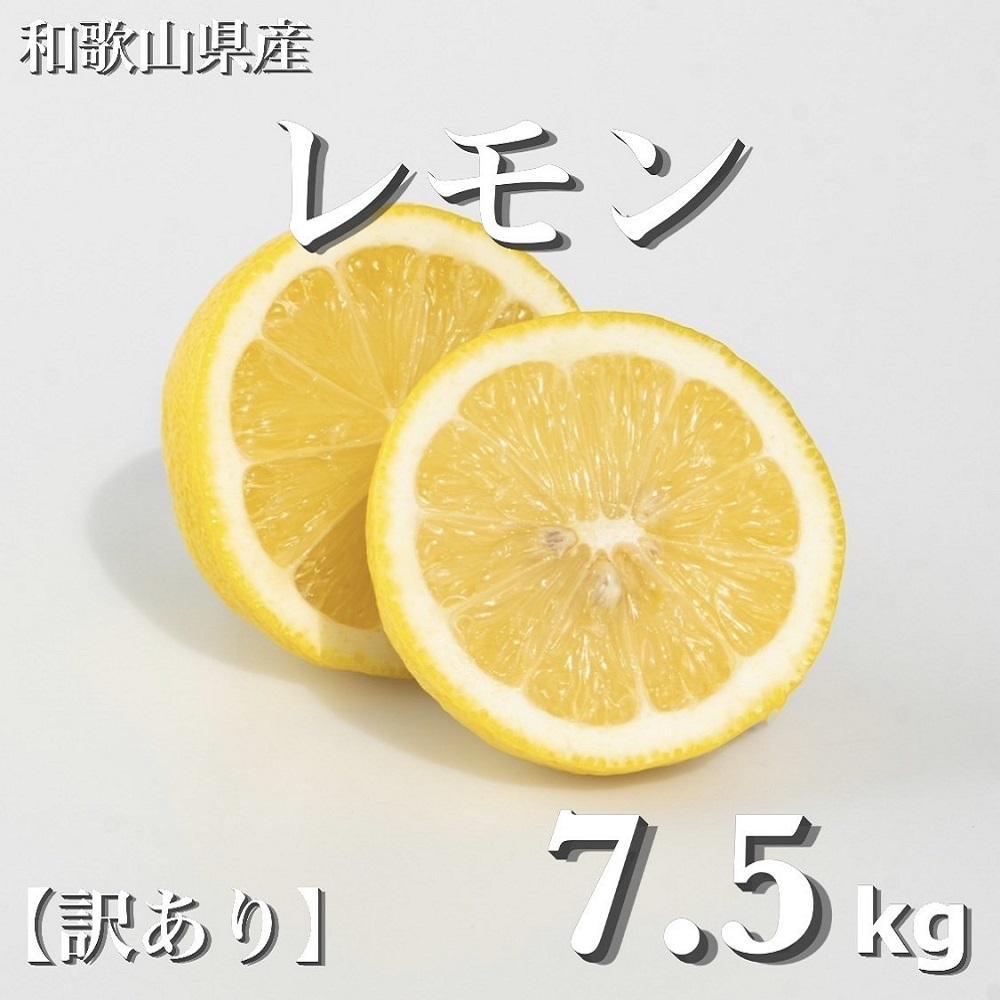 和歌山産 レモン 7.5kg  ［訳あり］ ［US2］