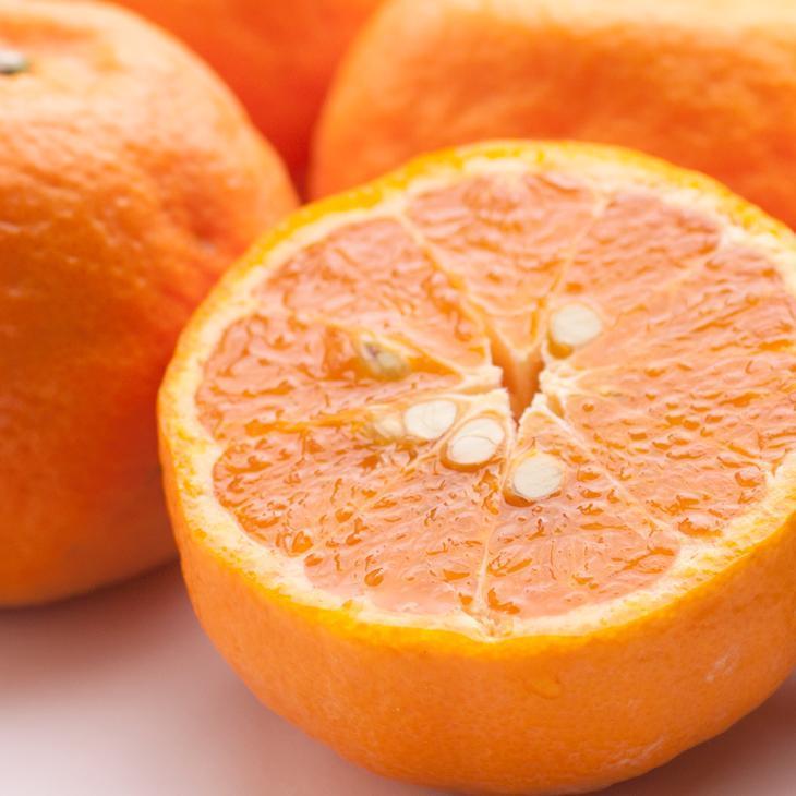 ［先行予約］厳選 カラマンダリン5kg+250g（傷み補償分）［南津海・なつみ］［希少な春柑橘］［みかんと同じように食べられます］［IKE67］