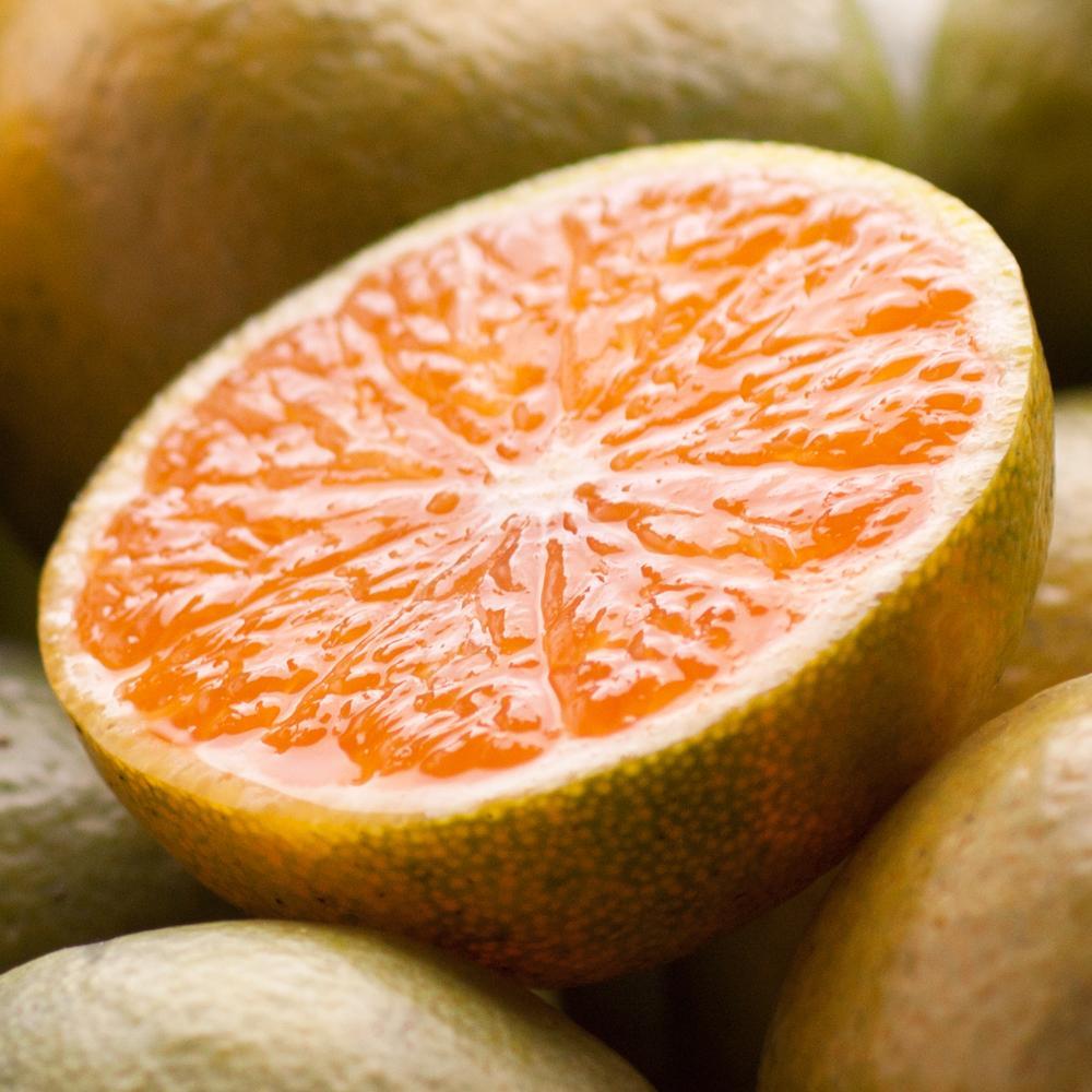 ＜9月より発送＞ 家庭用 極早生 有田みかん 3kg+90g（傷み補償分）YN26 ゆら早生 訳あり わけあり ［IKE164］