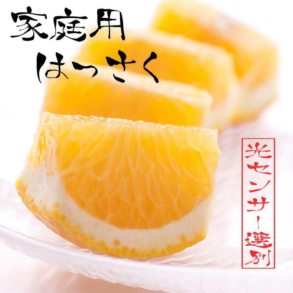 ［先行予約］家庭用 はっさく5kg+250g（傷み補償分）【八朔みかん】【訳あり・わけあり】［IKE29］