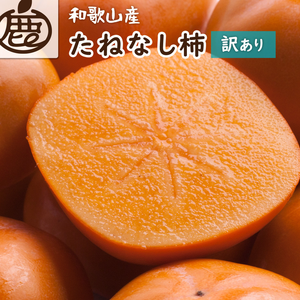 ［先行予約］家庭用 たねなし柿 約7.5kg［訳あり］［刀根早生・平核無柿（ひらたねなしかき）］［カキ・種無柿・種無し柿・種なし柿・無核柿］［IKE320］