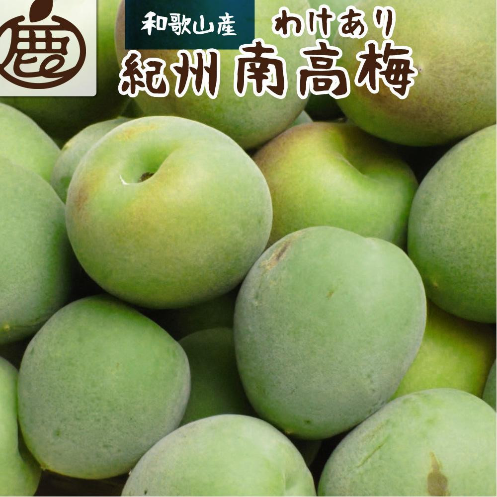 家庭用 紀州南高梅(青梅)5kg+250g（傷み補償分）【梅干し・梅ジュース】【訳あり】［IKE113］