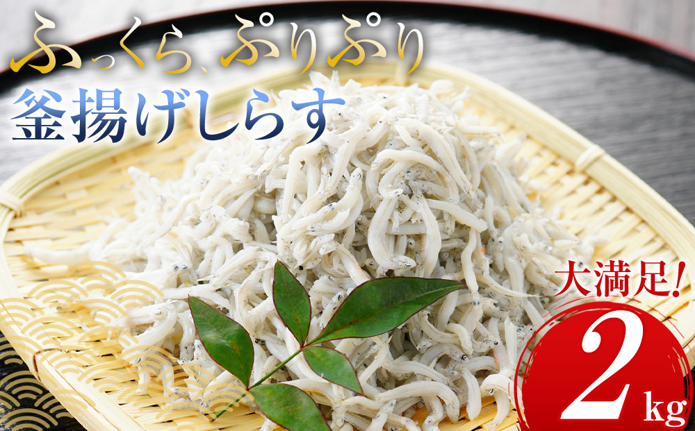 ＼注文数急上昇／釜揚げしらす 2kg(500×4パック) しらす職人厳選 ふっくら&ぷりぷり