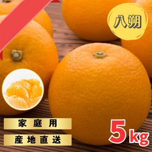 木なりはっさくみかんご家庭用 5kg箱入【WS9】