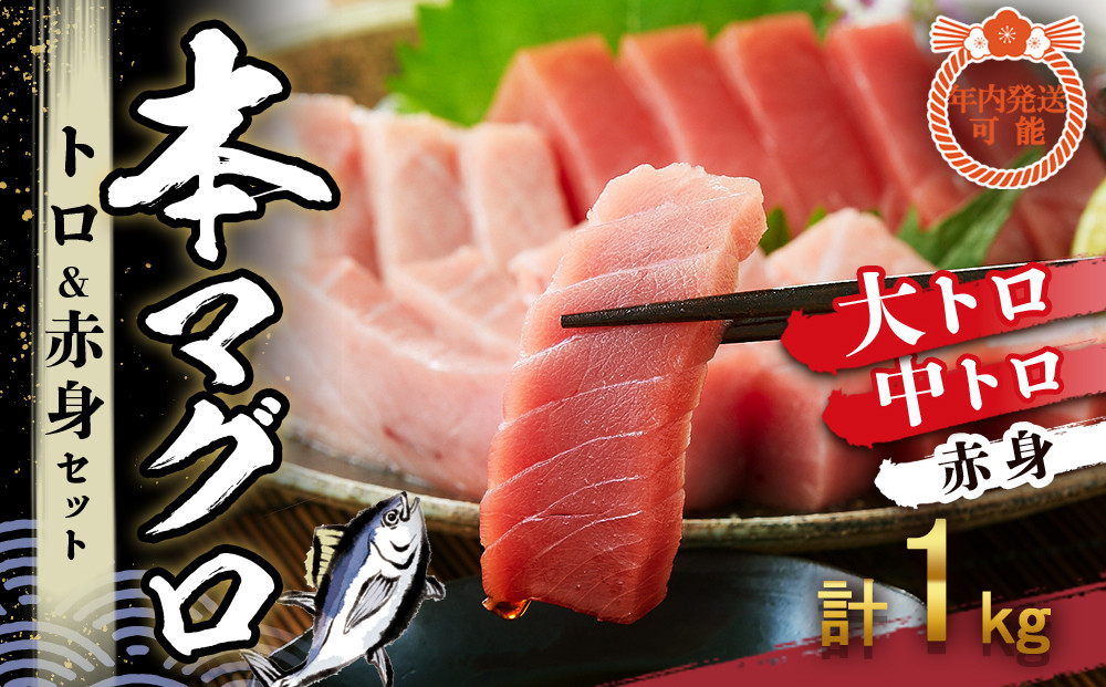 【12月末まで限定寄付額】【年内発送可】本マグロ トロ+赤身セット 1kg | 【年末年始お届け可能】大トロ 中トロ 鮪 刺身 寿司 海のダイヤ クロマグロ 人気