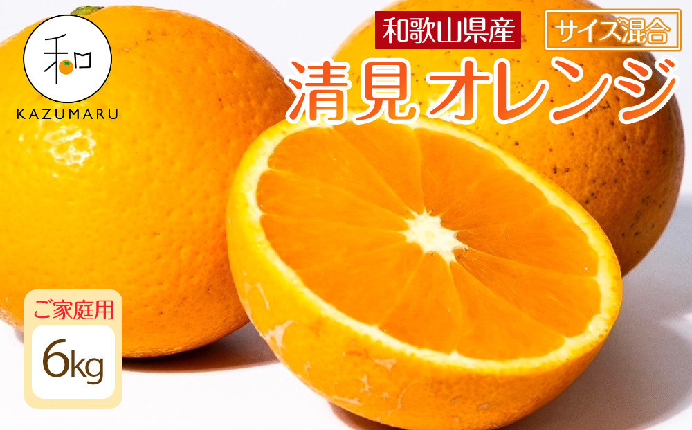 家庭用 森本農園の手選別 清見オレンジ 6kg 和歌山県産 サイズ混合 ［北海道・沖縄・離島配送不可］［RN38］［2026年2月上旬から5月中旬頃順次発送予定］