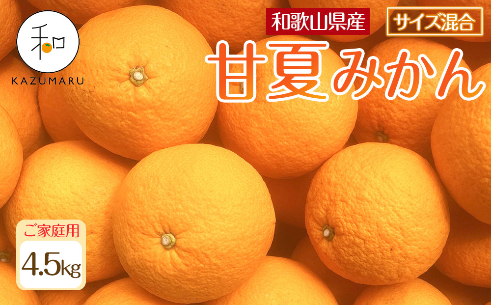 家庭用 森本農園の手選別 甘夏みかん 約4.5kg 和歌山県産 サイズ混合 ［北海道・沖縄・離島配送不可］［2026年4月上旬から順次発送］［RN69］