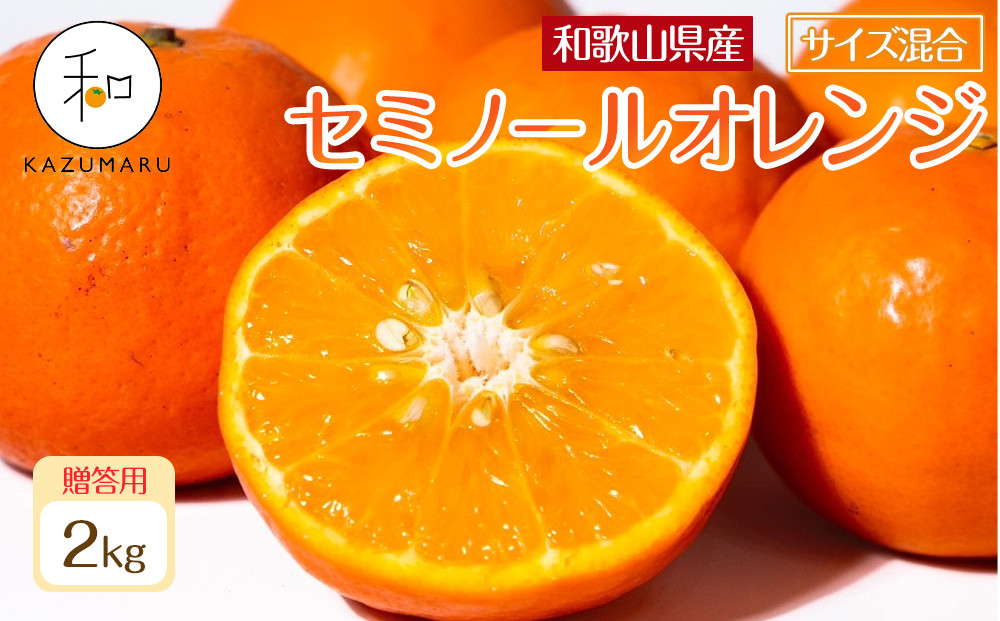 贈答用 森本農園の手選別 厳選セミノールオレンジ 約2kg 和歌山県産 サイズ混合 ［北海道・沖縄・離島配送不可］［2026年4月中旬から順次発送］［RN110］