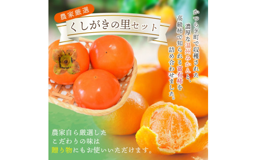 【先行予約】 道の駅くしがきの里セット 富有柿3個・温州みかん約30個の詰め合わせ こだわり農家厳選  【2026年11月上旬頃から12月中旬頃順次発送】/ みかん 温州みかん 柿 富有柿 かき 詰め合わせ 果物詰め合わせ 果物 フルーツ おやつ【kgr022】