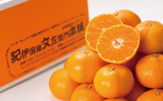 ブランド有田みかん【Ｌ】秀品10kg／産地直送／薄皮で甘い美味しい和歌山県産／紀伊国屋文左衛門本舗　※2026年11月上旬～2027年1月中旬頃に順次発送予定（お届け日指定不可）【ntbt141C】