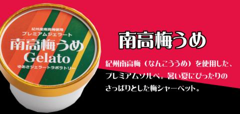 プレミアムジェラート 南高梅うめソルベ12個セット アイスクリームセット 100mlカップ ゆあさジェラートラボラトリー【ntbt700-06】