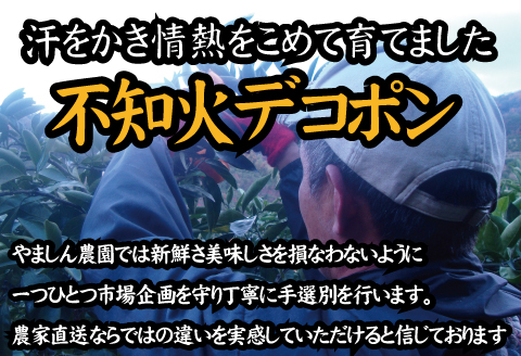 ＼光センサー選別／ 【農家直送】こだわりのデコポン不知火 約5kg 有機質肥料100%　※2026年2月～4月に順次発送予定（お届け日指定不可）【nuk111D】