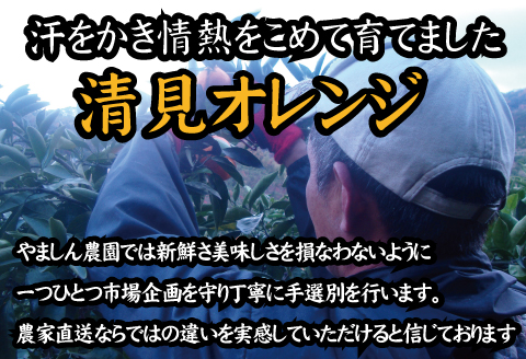 ＼光センサー選別／ 【農家直送】果汁たっぷり！清見オレンジ 約5kg 有機質肥料100%　 サイズ混合　※2026年3月上旬より順次発送予定（お届け日指定不可）【nuk112B】