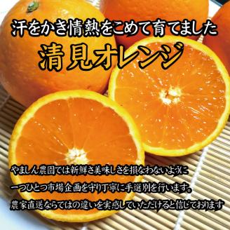 ＼光センサー選別／ 【農家直送】果汁たっぷり！清見オレンジ 約10kg  有機質肥料100%　 サイズ混合　※2026年3月より順次発送予定（お届け日指定不可）【nuk113B】