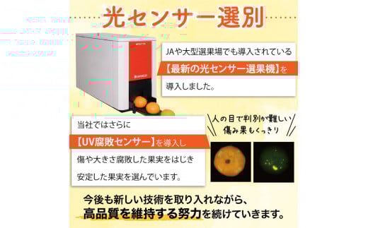 みかん 【2025年秋頃発送予約分】こだわりの青切りみかん　約5kg  有機質肥料100%　 サイズ混合　※2026年9月～10月に順次発送予定（お届け日指定不可）【nuk150D】