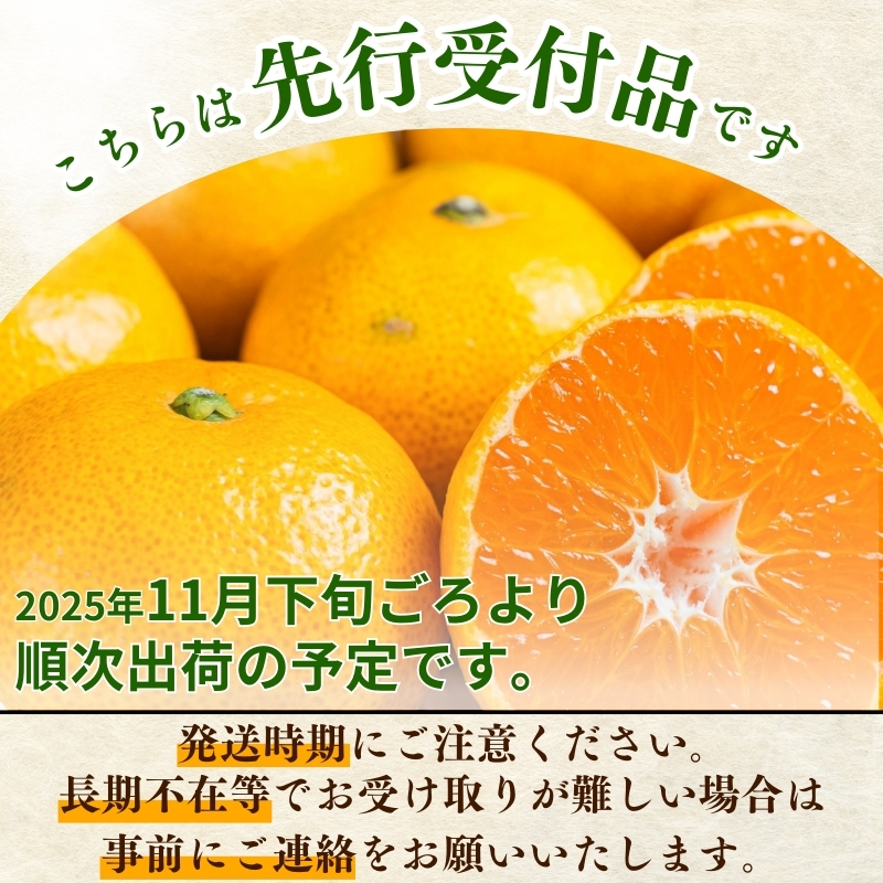 みかん 【2025年12月発送予約分】 ＼光センサー選別／農家直送 こだわりの有田みかん 約2kg【ご家庭用】【12月発送】/みかん 有田みかん 温州みかん こだわり 甘い 美味い 人気【nuk159-12A】
