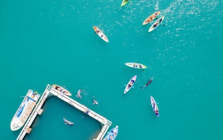 森浦湾カヤック体験（大人）中学生以上　太地フィールドカヤック2時間体験コース / アクティビティ レジャー 体験チケット 観光【tgk106】