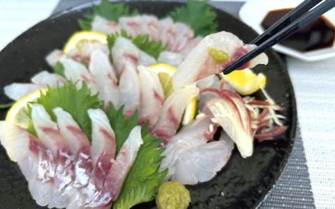 ＼数量限定／ クロムツの煮付用＋刺身用セット 【冷蔵便】 くろむつ 黒睦 ムツ 煮つけ 煮付 煮付け 刺身 お刺身 国産 太地町【tgk110】