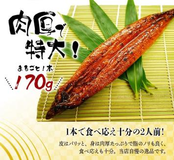 【6ヶ月定期便】大型サイズ ふっくら柔らか 国産うなぎ蒲焼き 2尾×6ヶ月連続でお届け!!  計12尾 約2040g ／ うなぎ ウナギ 鰻 国産 蒲焼 蒲焼き たれ 人気 定期便 ふるさと納税 6か【tkb310】