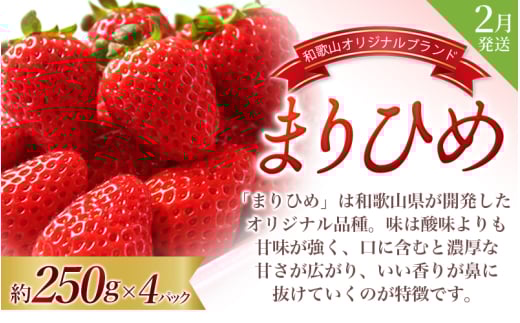 【全3回】＼フルーツ大国和歌山からお届け／  旬のフルーツ 定期便（いちご・桃・ピオーネ）【tkb401】