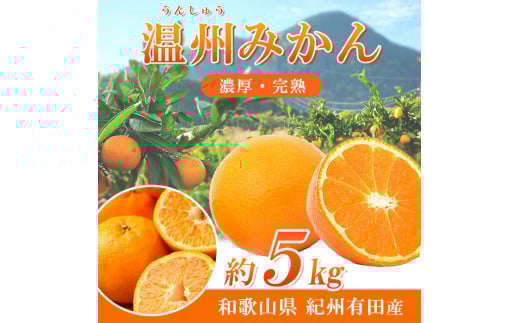 【先行予約】紀州有田産 濃厚完熟 温州みかん 5kg 【家庭用 訳あり】 ※2026年11月下旬～2027年1月下旬頃に順次発送予定 / みかん ミカン 蜜柑 温州みかん 柑橘 フルーツ 果物 くだもの 和歌山【uot003】