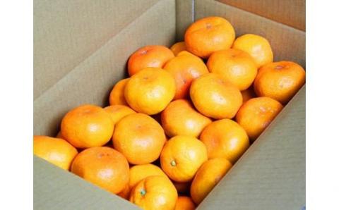 高級ブランド田村みかん　5kg【予約】※2024年11月下旬頃～2025年1月下旬頃に順次発送予定(お届け日指定不可)【uot504A】