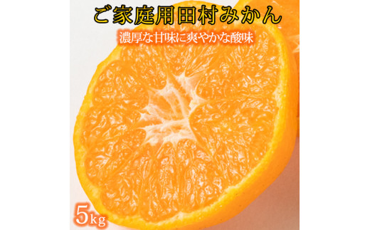 【ご家庭用訳あり】田村みかん　5kg　※2026年11月下旬～2027年1月下旬頃に順次発送予定(お届け日指定不可) 訳ありみかん 温州みかん【uot754A】