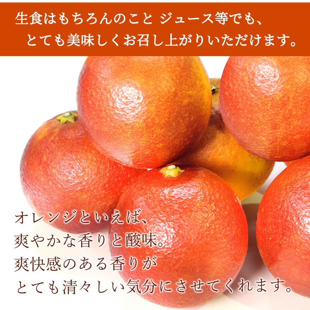 希少な柑橘!紀州有田産ブラッドオレンジ約3kg 【ご家庭用】※2026年3月上旬頃～3月中旬頃に順次発送 (お届け日指定不可)【uot771】