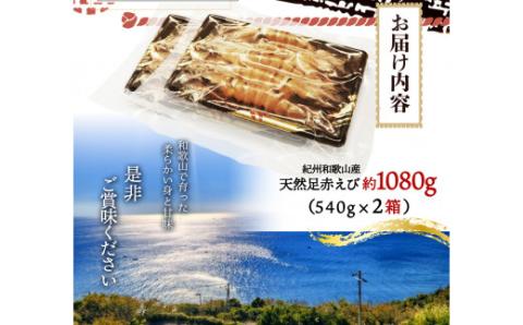 紀州和歌山産天然足赤えび540g×2箱（270g×4パック）化粧箱入 ※2025年11月末頃～2026年1月下旬頃順次発送予定（お届け日指定不可）／海老 エビ えび クマエビ 天然【uot773A】