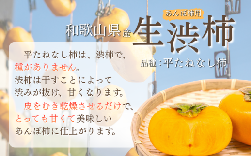 甘さが違う！とっても甘くなる生渋柿（平たねなし柿）吊るし柿用 T字枝or吊るしクリップ付 約2.5～3kg 約9～18個 １０月下旬～順次発送-Ted(日付指定不可) 【art040】