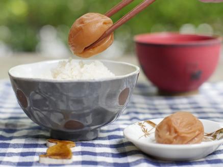 【ご家庭用】最高級紀州南高梅・大粒 食べ比べセット 1.4kg(700g×2種)　（はちみつ・優梅） 梅干し【inm800-2B】